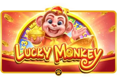Responsible gaming and account safety message for Cricket World Cup Guide users